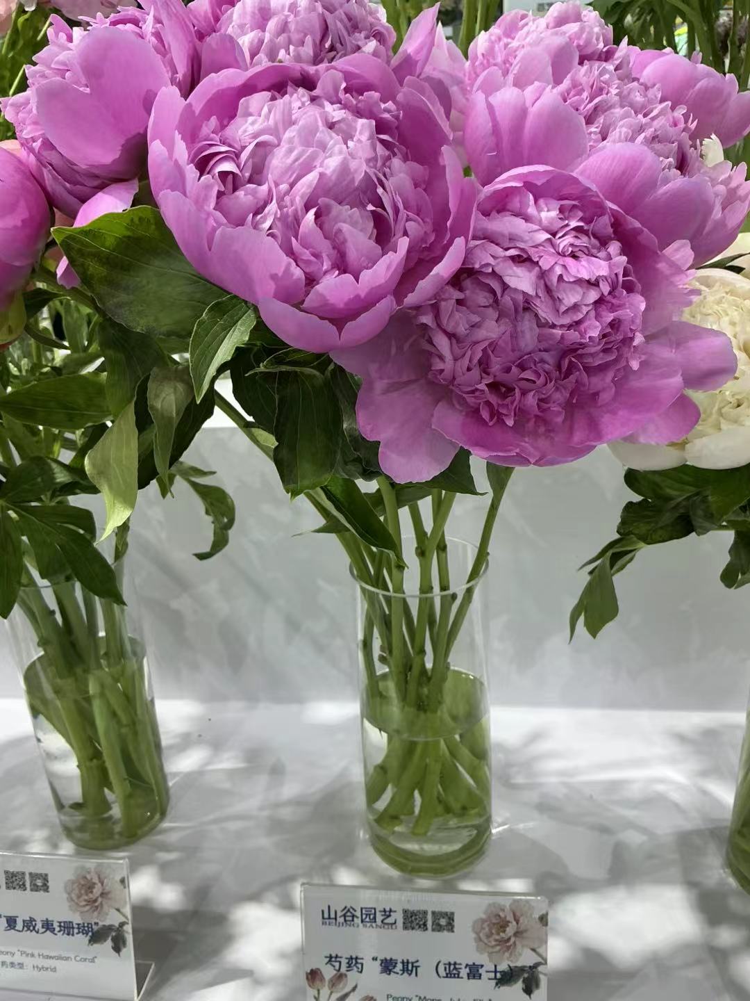 be56b8a31cbdf262f1aac08618197256.jpg