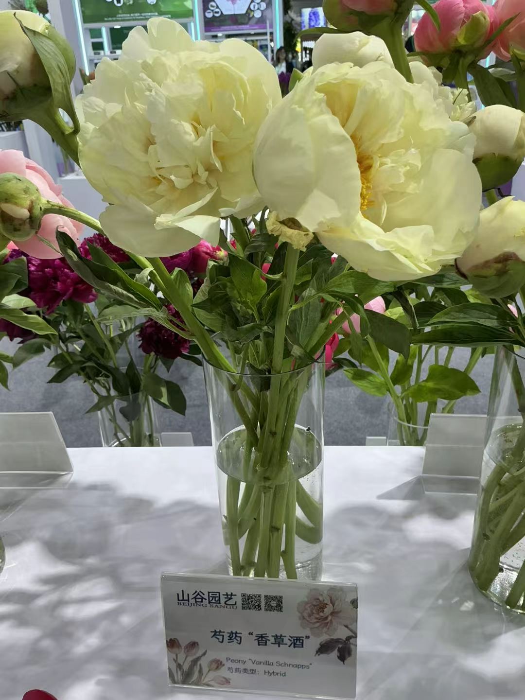bd5f0eb813720c78723bccc1b62104e2.jpg