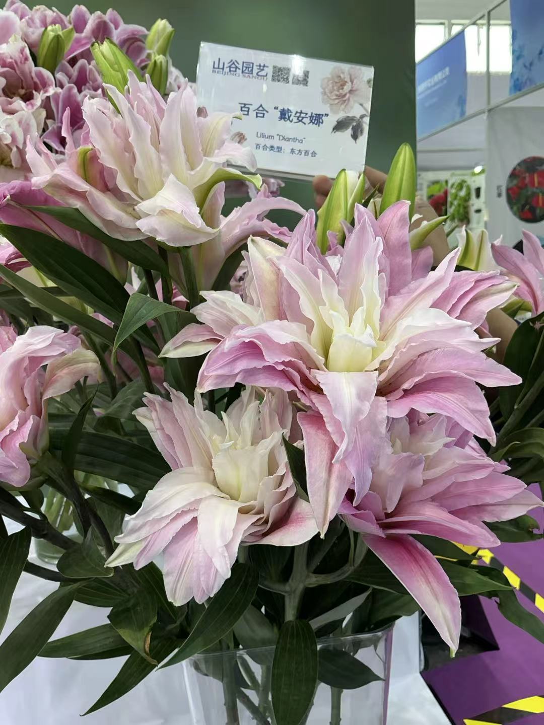 c0916cb9dd842dfa028687bb97a8a108.jpg