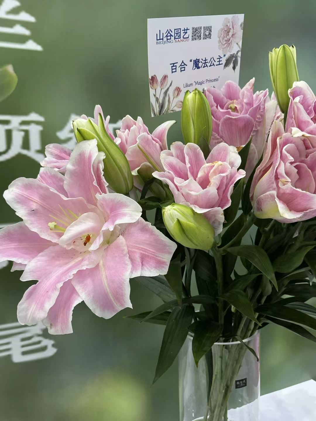 534eb18d9a51c58f9346f1fbd33b4e80.jpg